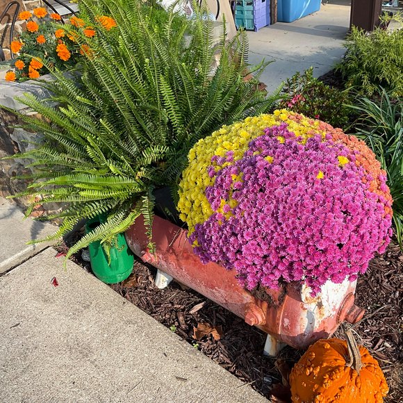 Meet your Posher, Cathy - Picture 1 of 1